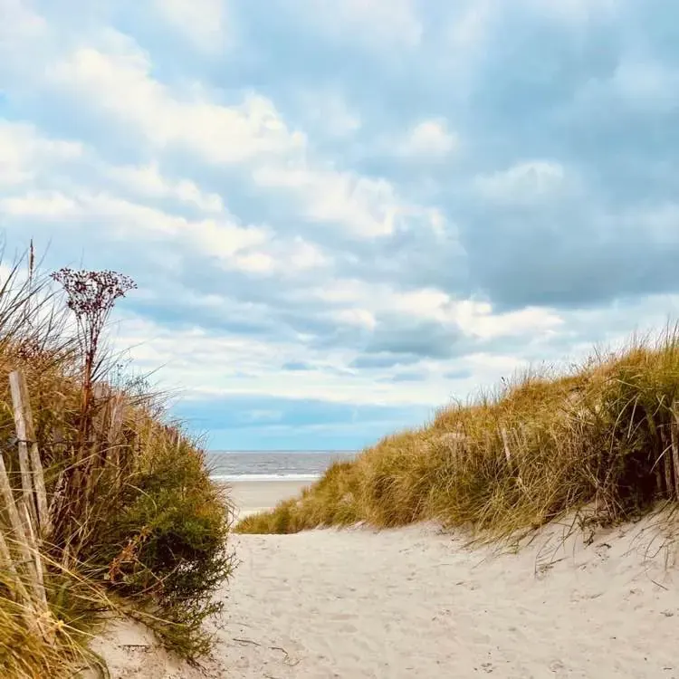 Widok przez wydmy na plażę
