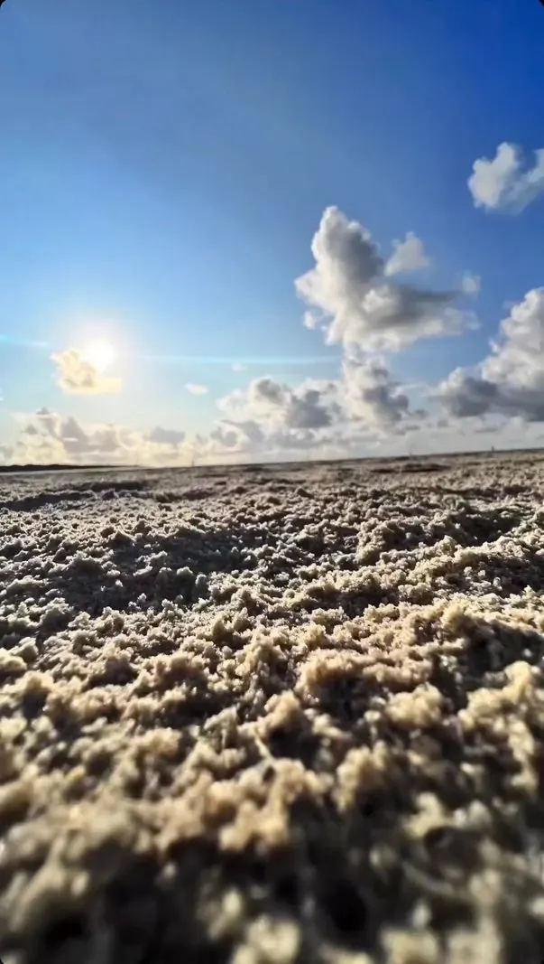 Piaszczysta plaża z muszlami w słońcu