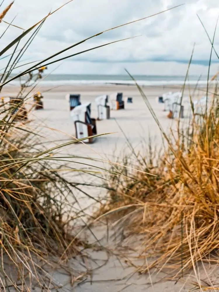 Kosze plażowe za trawą wydmową