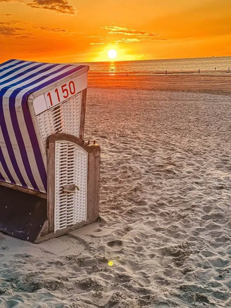 Kosz plażowy o zachodzie słońca