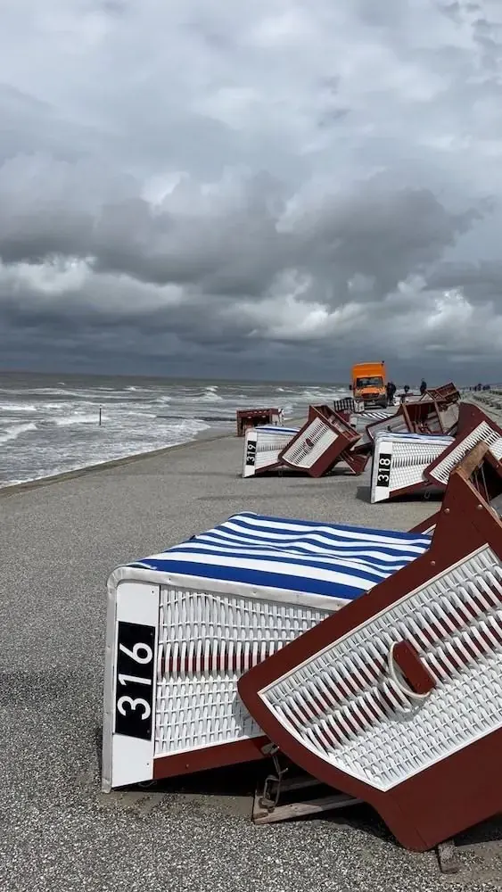 Kosz plażowy po sztormie