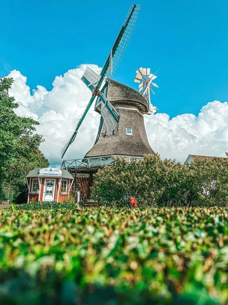 Wiatrak Selden Rüst na Norderney